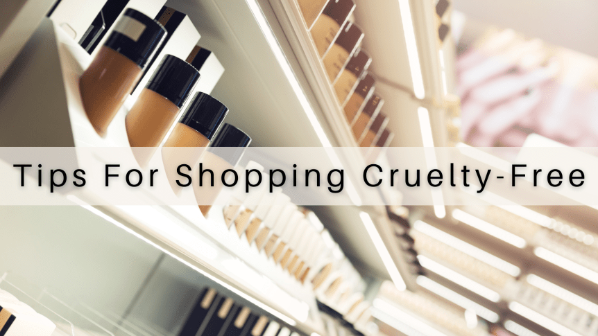 Tips On Shopping For Cruelty-Free&nbsp;Cosmetics